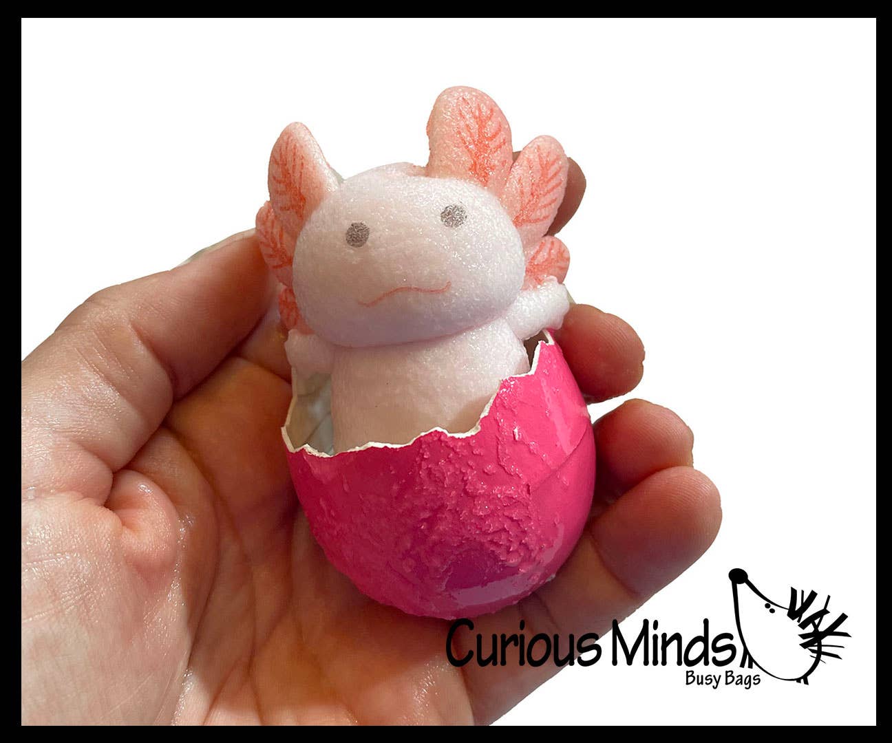 Curious Minds Toys – wholesale Toy set – Kids – 1 Hatch and Grow an Axolotl Egg in Water - Add Water and it