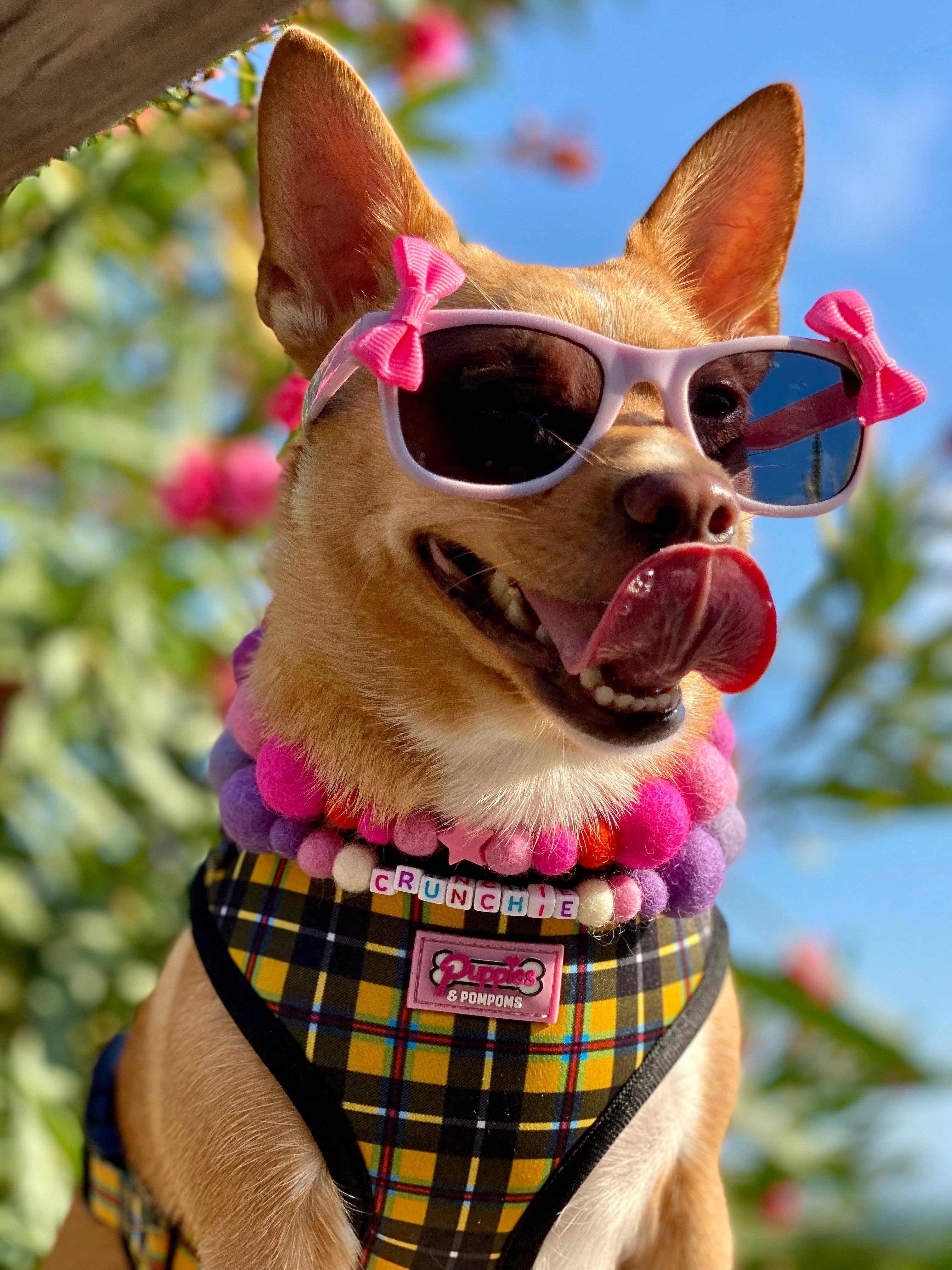 Puppies & Pom Poms - Wholesale Pet Collar - Dog - Pink - Personalised Pom Pom Dog Collar53
