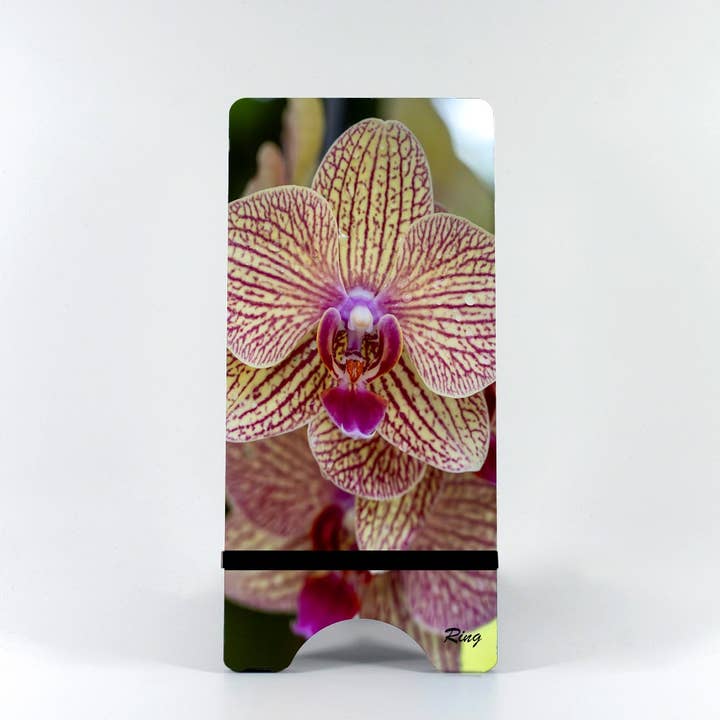 Phone Stand-Phalaenopsis Orchid for wholesale by Mike Ring Photography