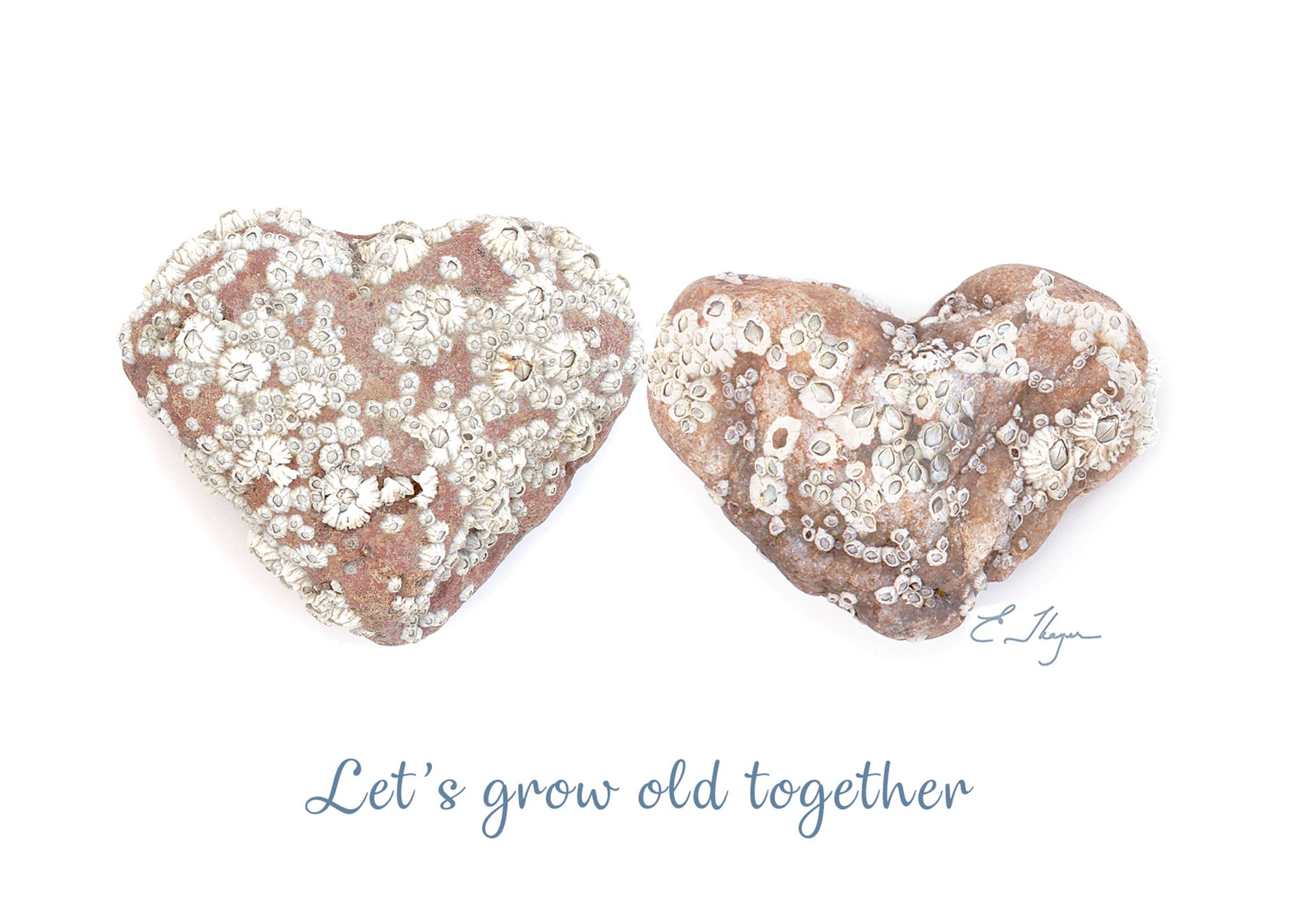 Love Rocks Me® – Großhandel Liebeskarte – Liebeskarten | Let's Grow Old Together Karte1
