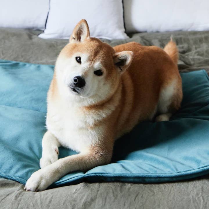 Materasso Nomade per la vendita all'ingrosso da parte di Monsieur Hardi