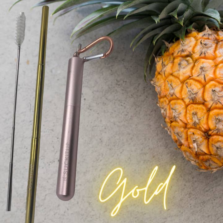 Suck It Up Straws - Wholesale Drinking straw - 3n1 Telescopic Straws with Case and Telescopic Cleaning Brush40