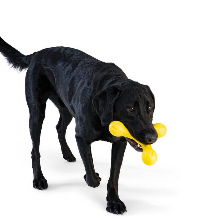 West Paw - Wholesale Pet Chew Toy - Dog - Skamp® Dog Toy for Play, Tug, and Fetch3