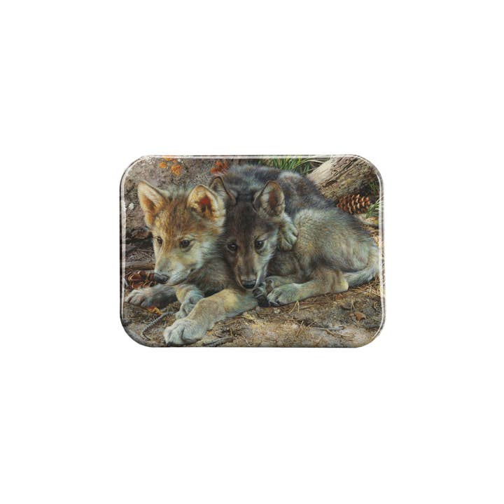 "Brotherly Love" - 2.5" X 3.5" Rectangle Fridge Magnets for wholesale by Airstrike