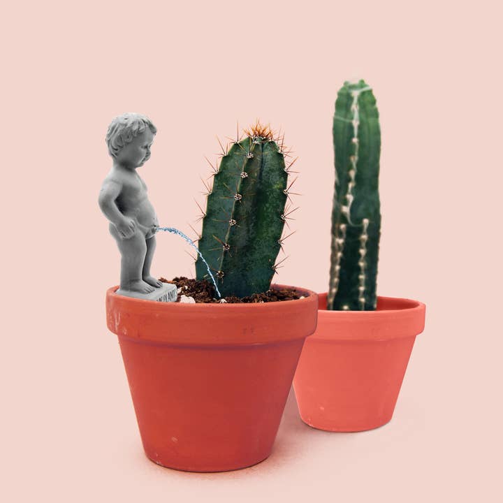 NPW - Wholesale Decorative Figurine - Pee My Plants Watering Decoration