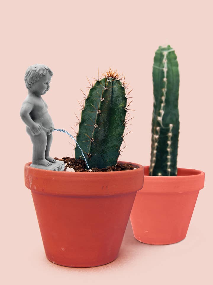 Pee My Plants Watering Decoration for wholesale by NPW