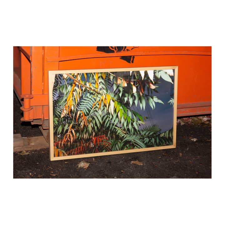 bylindseykusterman – wholesale Konsttryck – BF Nelson, 20171