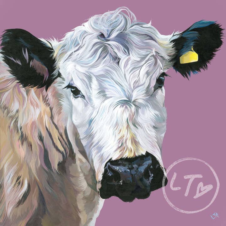 Mounted Giclee Cow Art Print (Hermione, Brirish White) for wholesale by Lauren's Cows