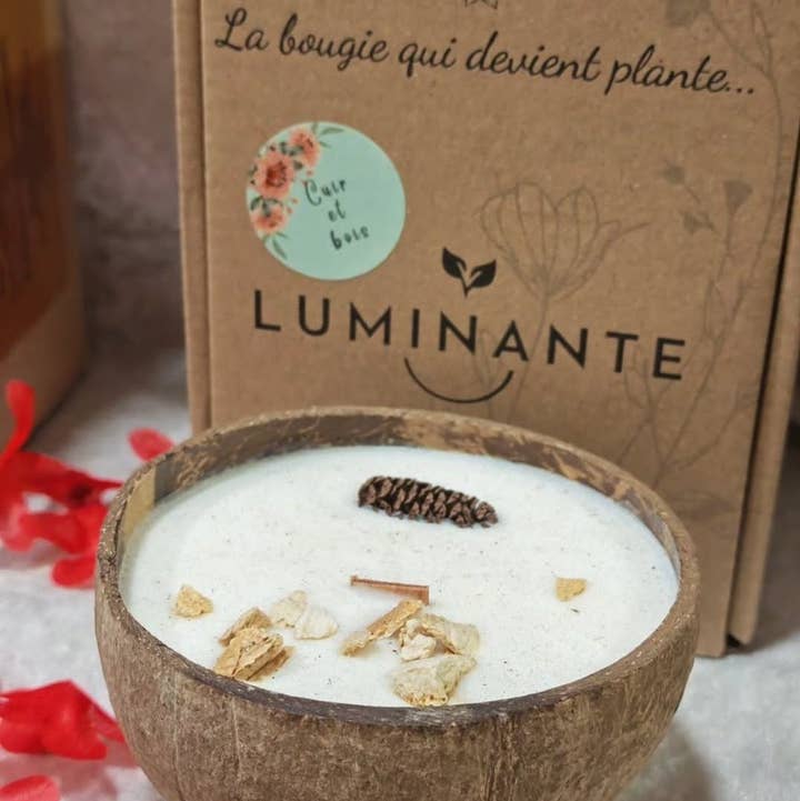 LUMINANTE - Wholesale Jar/Filled Candle - The candle that becomes a plant Oud Wood model "coco"0