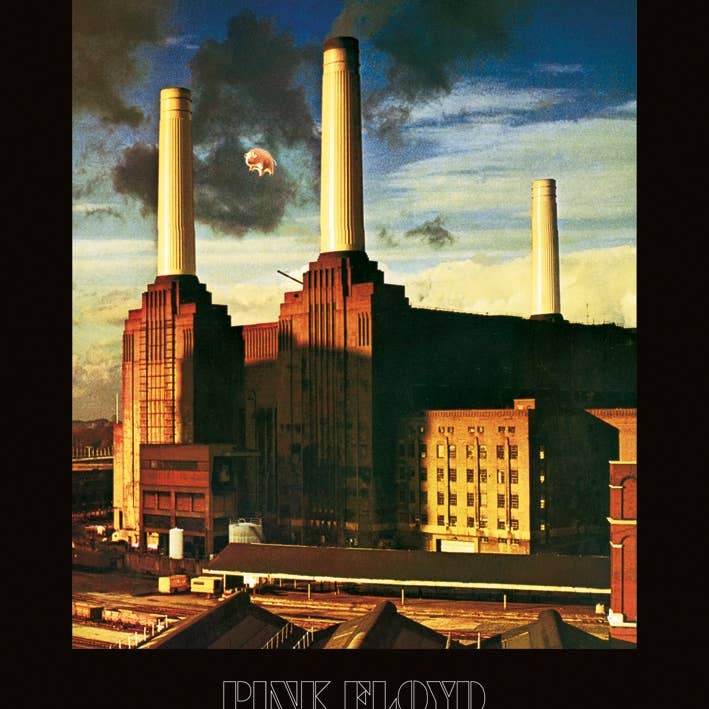 Pink Floyd (Animals) Canvas for wholesale by The Art Group