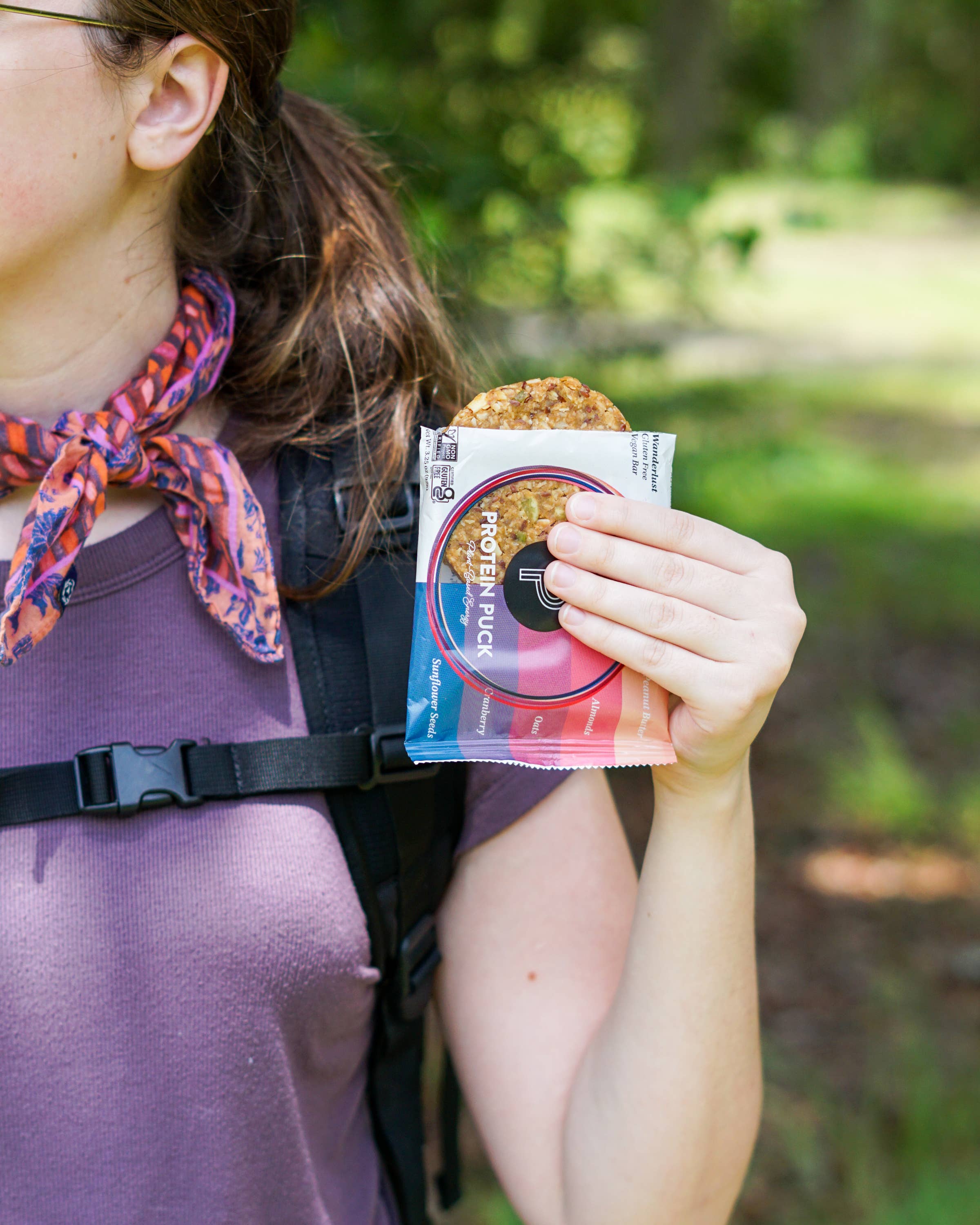 Protein Puck - Wholesale Snack Bar - Wanderlust (Peanut Butter, Cranberry) (16 - 3.25oz Bars)16