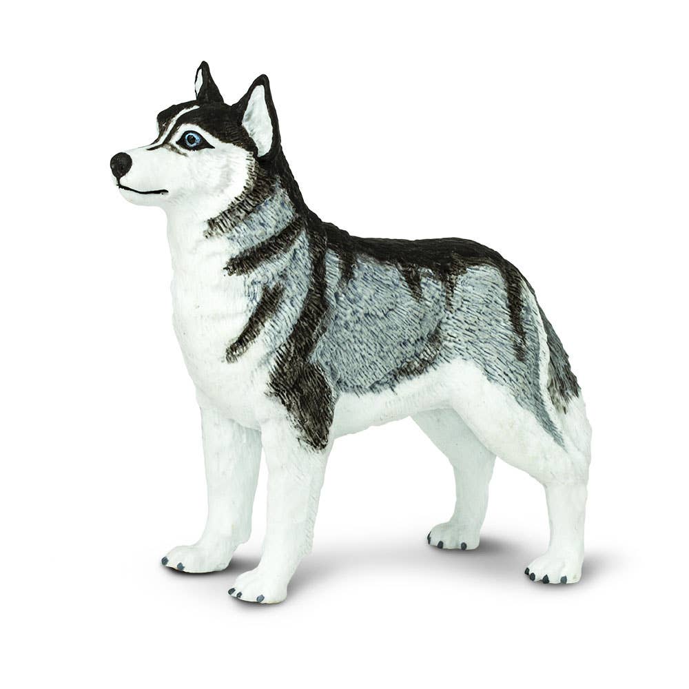 Safari Ltd. - Wholesale Decorative Figurine - Siberian Husky - 255229