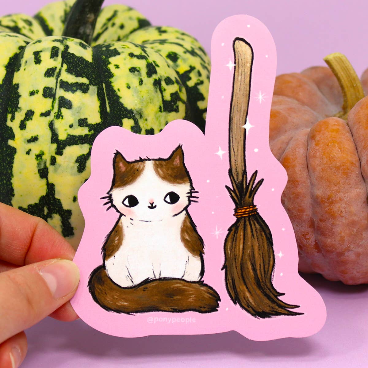 PONY PEOPLE - Wholesale Sticker - A Witch's Familiar Sticker2