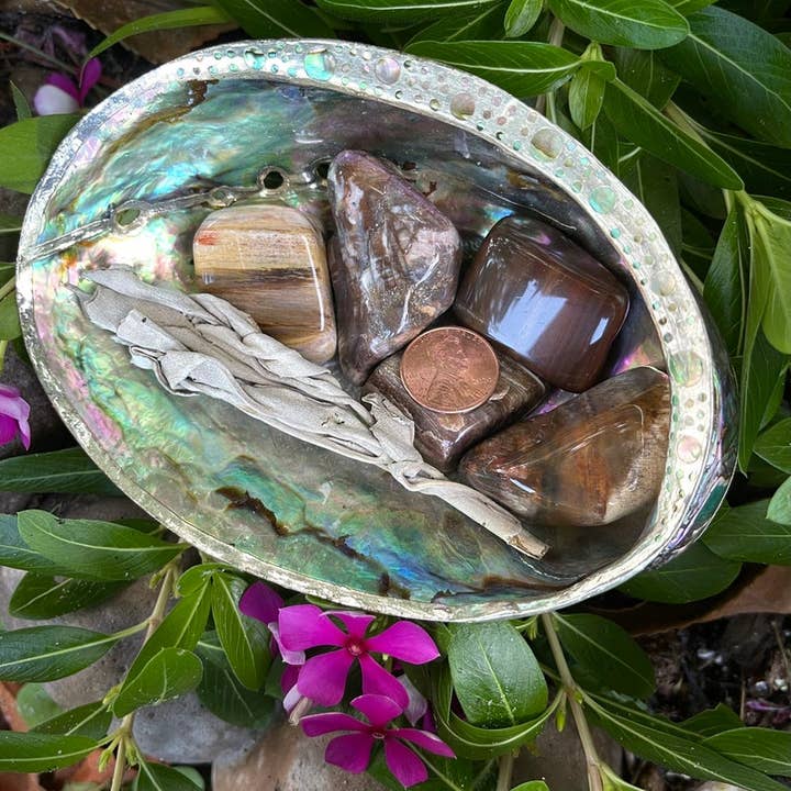 Bodhi Leaf Market - Wholesale Spiritual Stone/Crystal - Fossilized Wood, Polished Fossilized Wood, Crystal Magic
