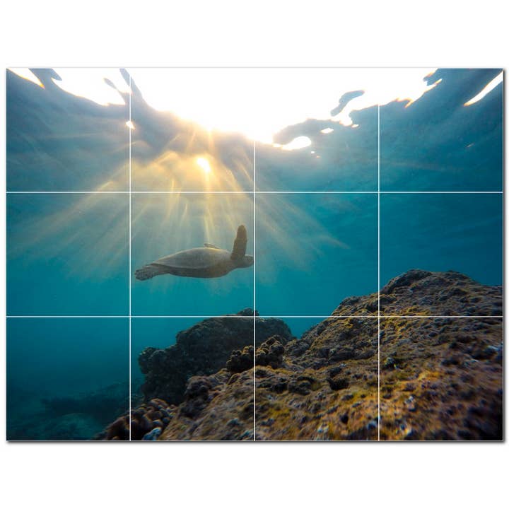 Decorazione murale in ceramica con tartaruga marina PT501055 per la vendita all'ingrosso da parte di Picture-Tiles.com