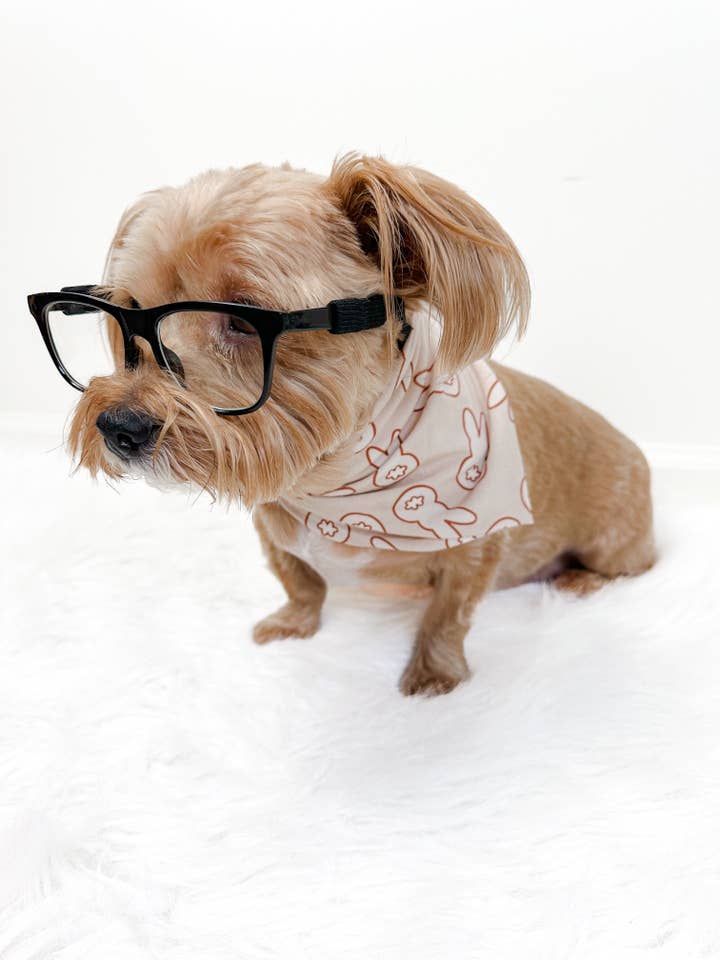 BUNNY TAILS DREAM DOG BANDANA for wholesale by Dream Big Little Co.