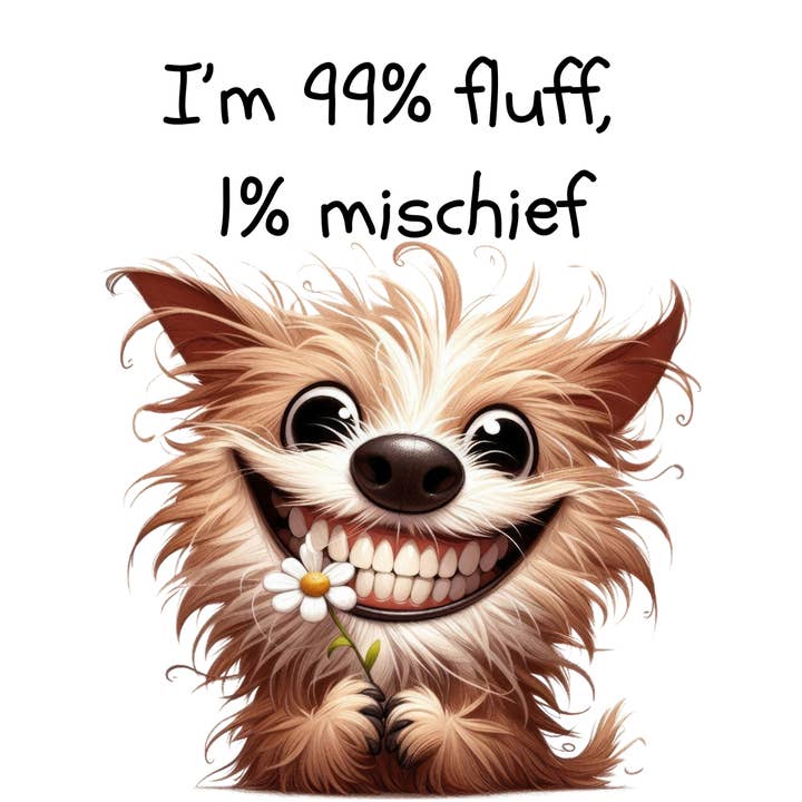 Nimblepic - Wholesale Magnet - Magnets - Sassy Gallery 52