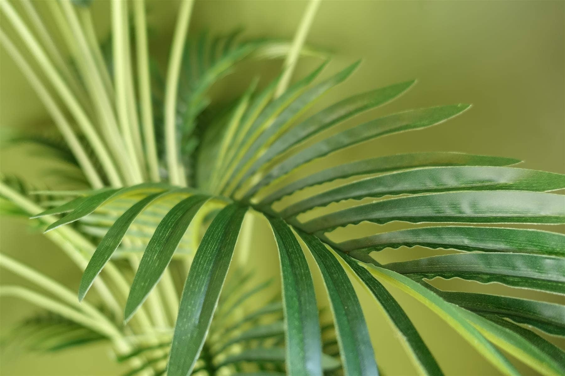 Leaf Design UK LTD - Wholesale Artificial Plant - 150cm Large Artificial Areca Palm Tree Potted in Black Pot4