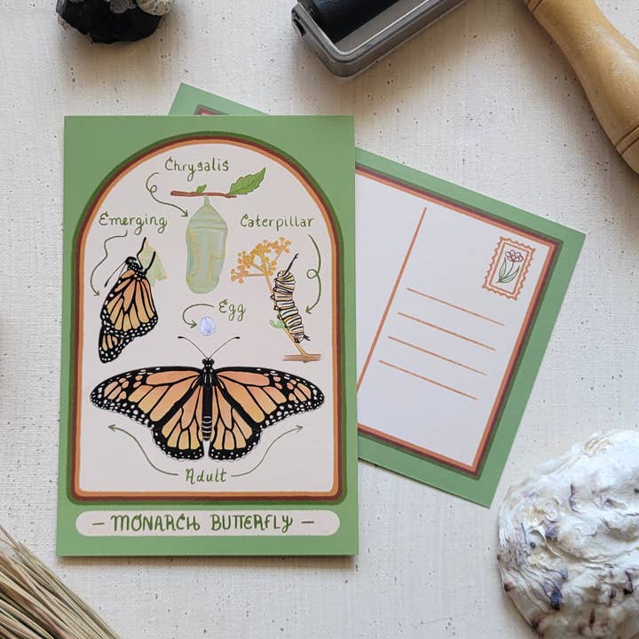 Postales de Mariposa Monarca para venta al por mayor de The Hollowbird