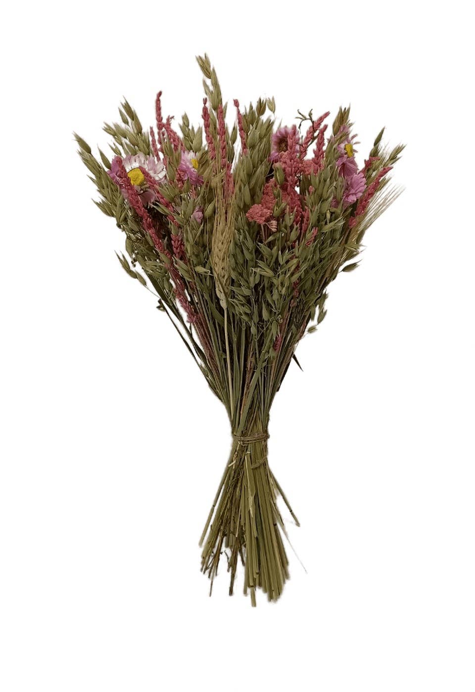 Concari.flores Preservadas – wholesale Torkade/pressade blommor – MEDELSTOR BUKETTBUKETT MED TORKADE OCH KONSERVERADE BLOMMOR OCH GRÖNA4