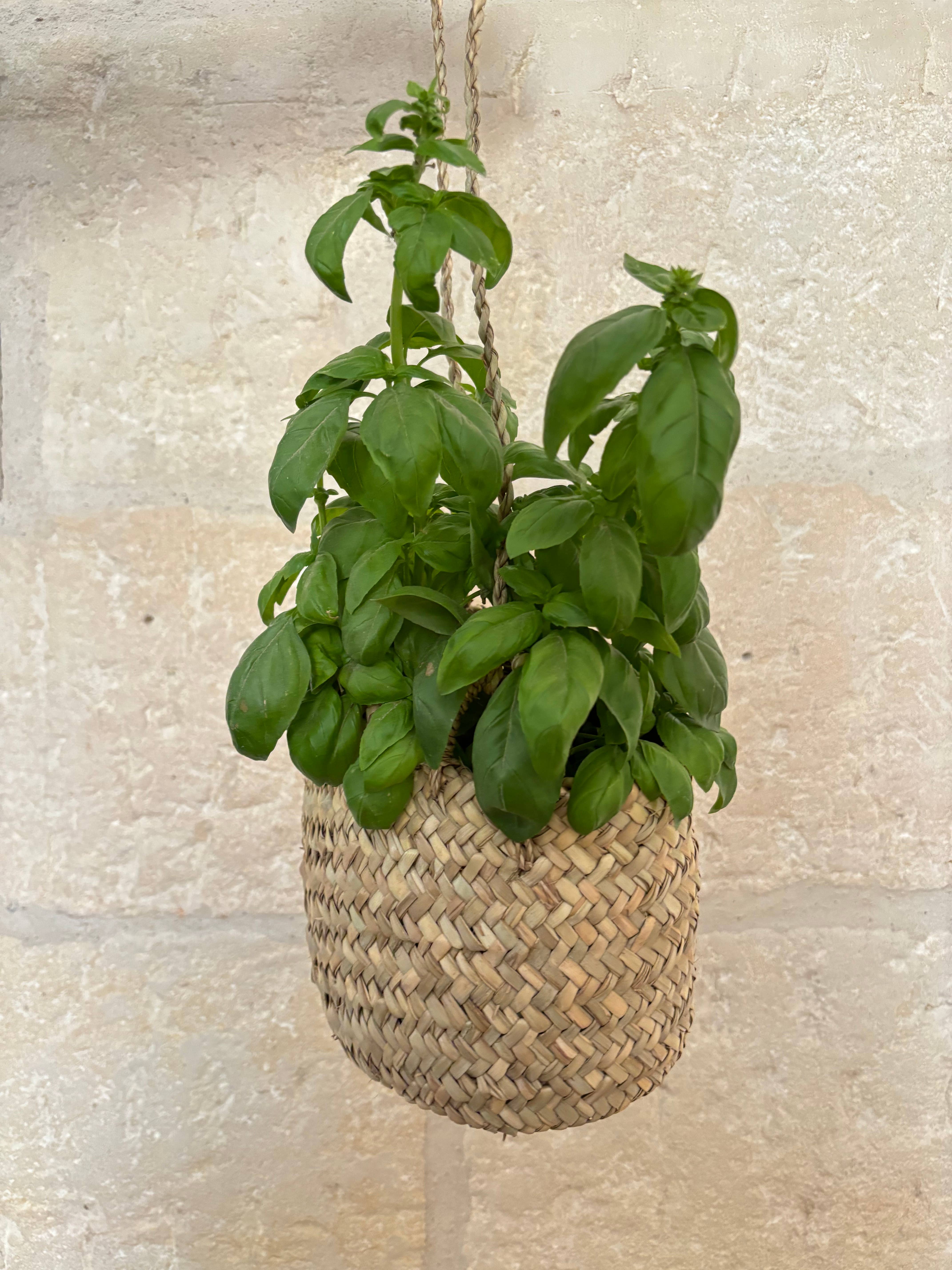 BAHIA HOME - Wholesale Plant Pot Stand - Broome hanging pot cover2