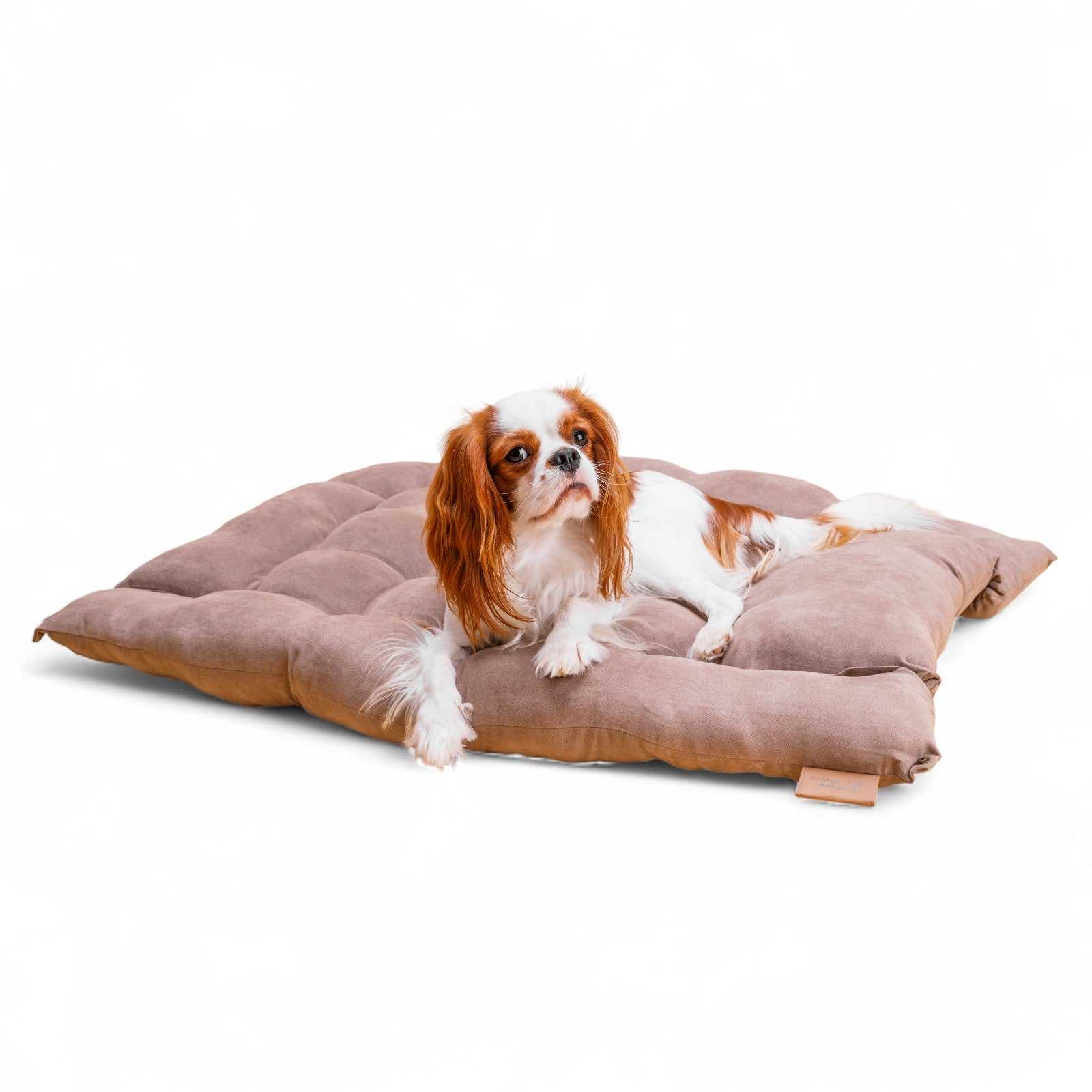 BennyBurton (Walk-Buddy Hundezubehör) - Wholesale Pet Bed - Dog - Light mat with pillow with three different lying options4