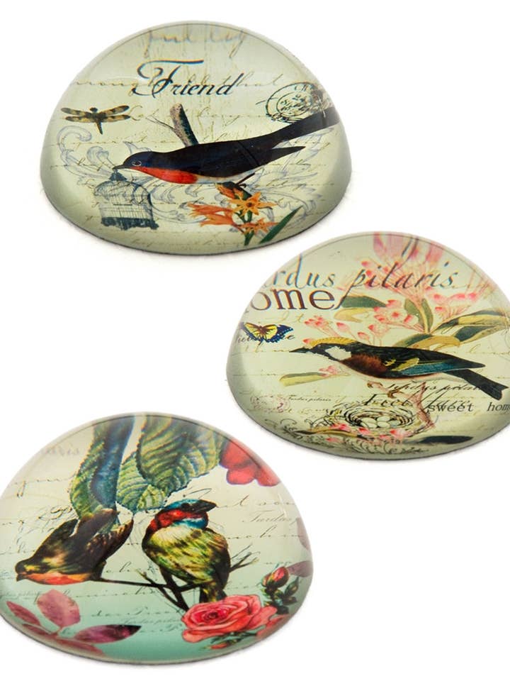 Bird / Dome Crystal Paperweight for wholesale by Value Arts