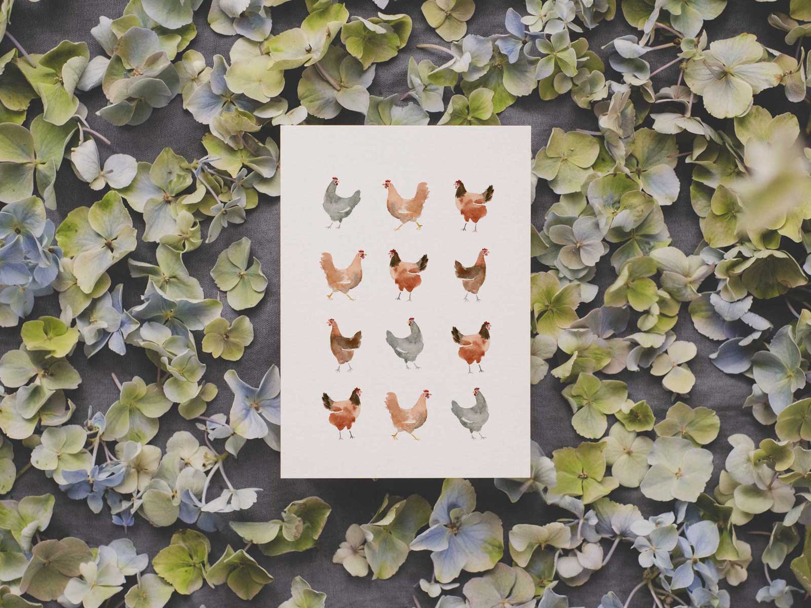 tucán y limón - Venta al por mayor Tarjeta postal - Una docena de gallinas | Tarjeta postal de gallinas1