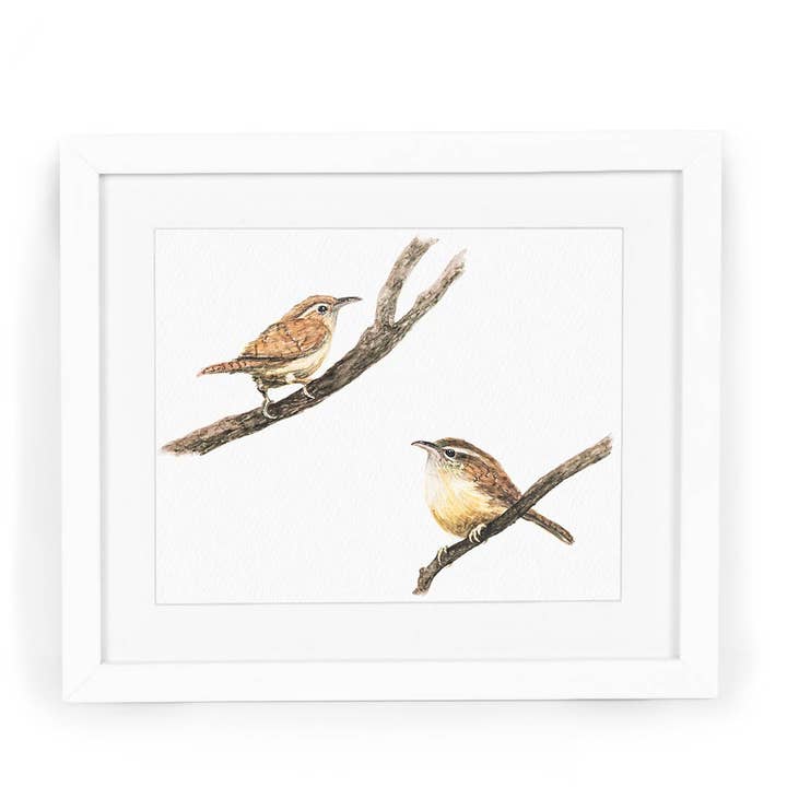 Two Carolina Wrens Watercolor Art Print for wholesale by CharmCat