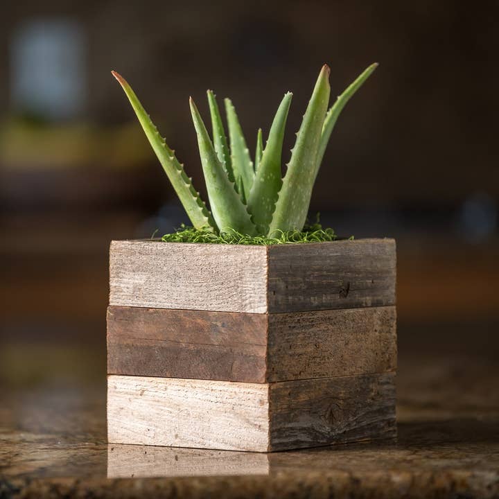 Rustic Kodiak Reclaimed Wood Planter for wholesale by Love Reclaimed