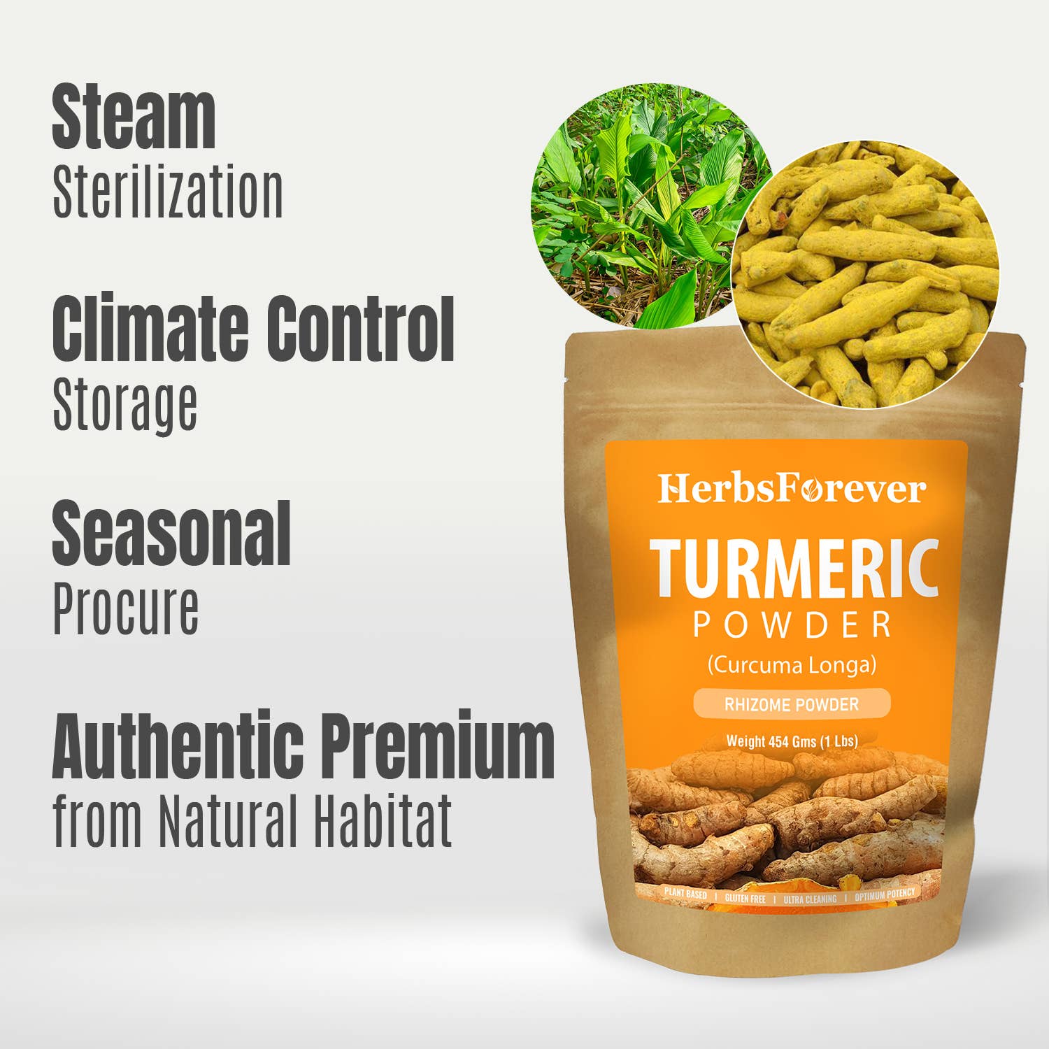 HerbsForever - Wholesale Protein/Superfood Powder - Turmeric Powder Non GMO Vegan 454 gms5