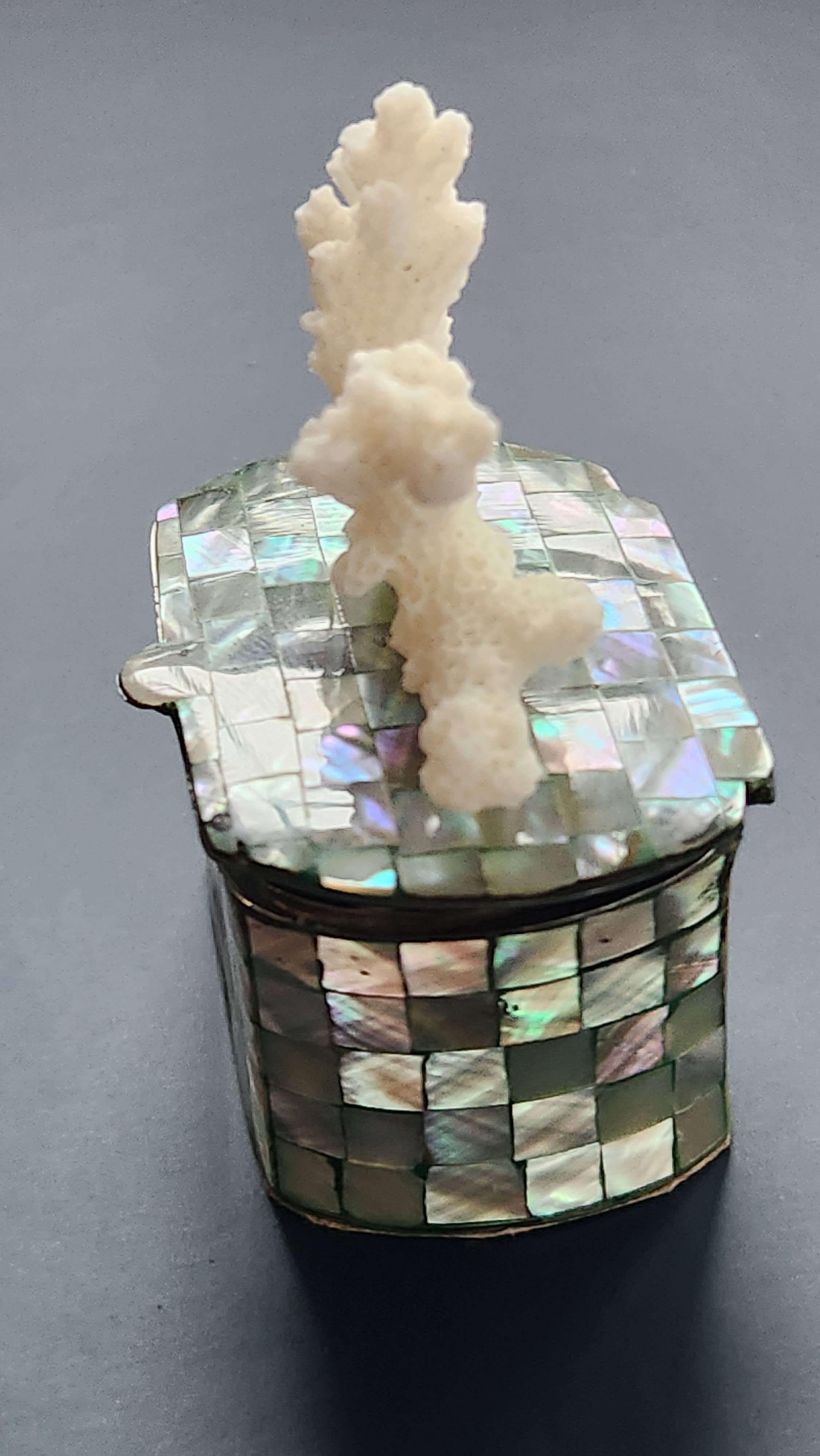 White Tulip Boutique - Wholesale Decorative Box - Mini Abalone MOP Shell Trinket Pill Box3