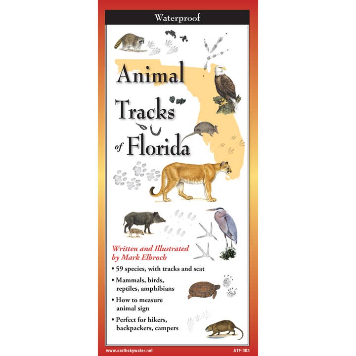 Pistes d'animaux de Floride pour la vente par Earth Sky + Water