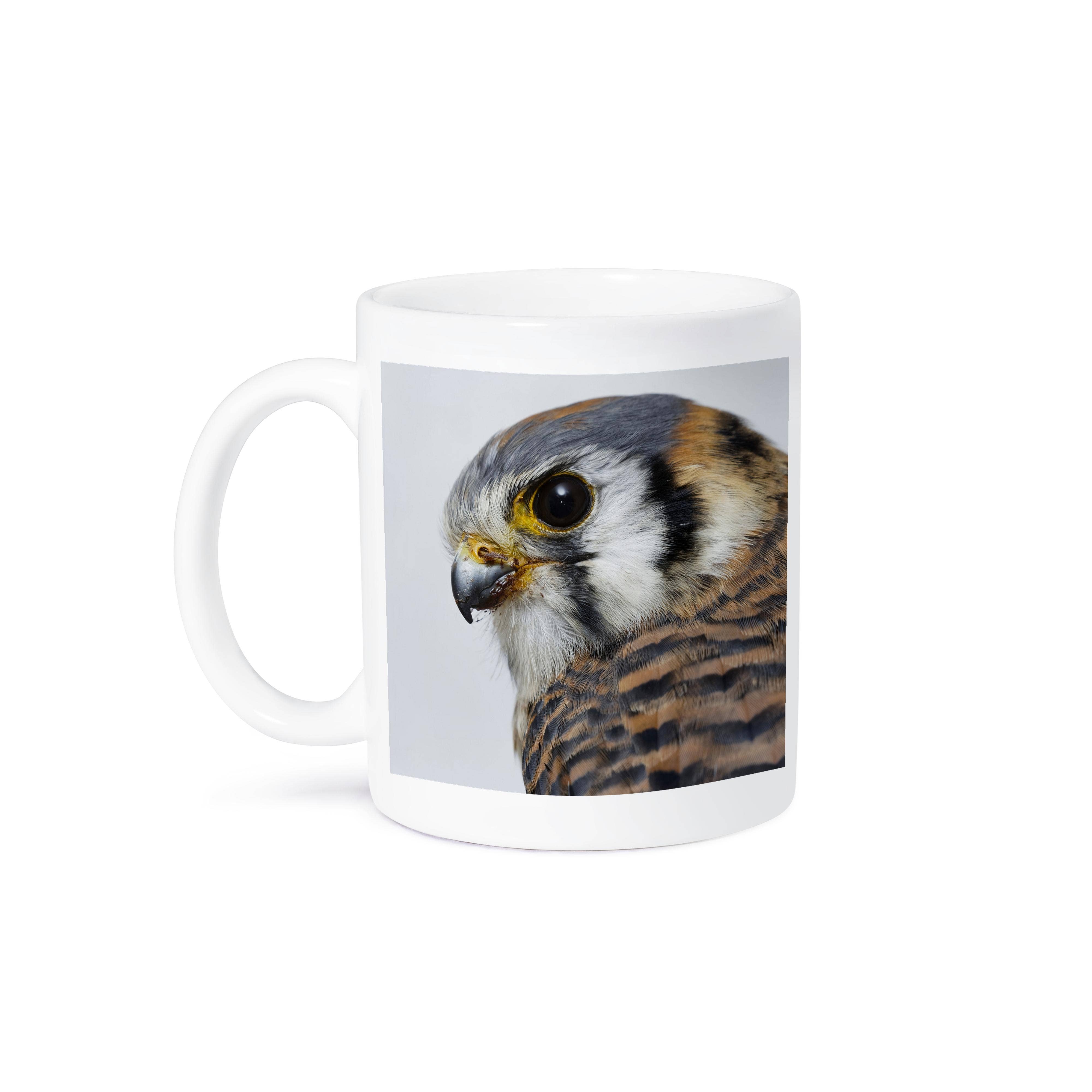 3dRose - Wholesale Coffee Mug - 3dRose, Female American Kestrel in winter ., Mug8