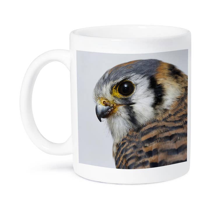 3dRose - Wholesale Coffee Mug - 3dRose, Female American Kestrel in winter ., Mug8