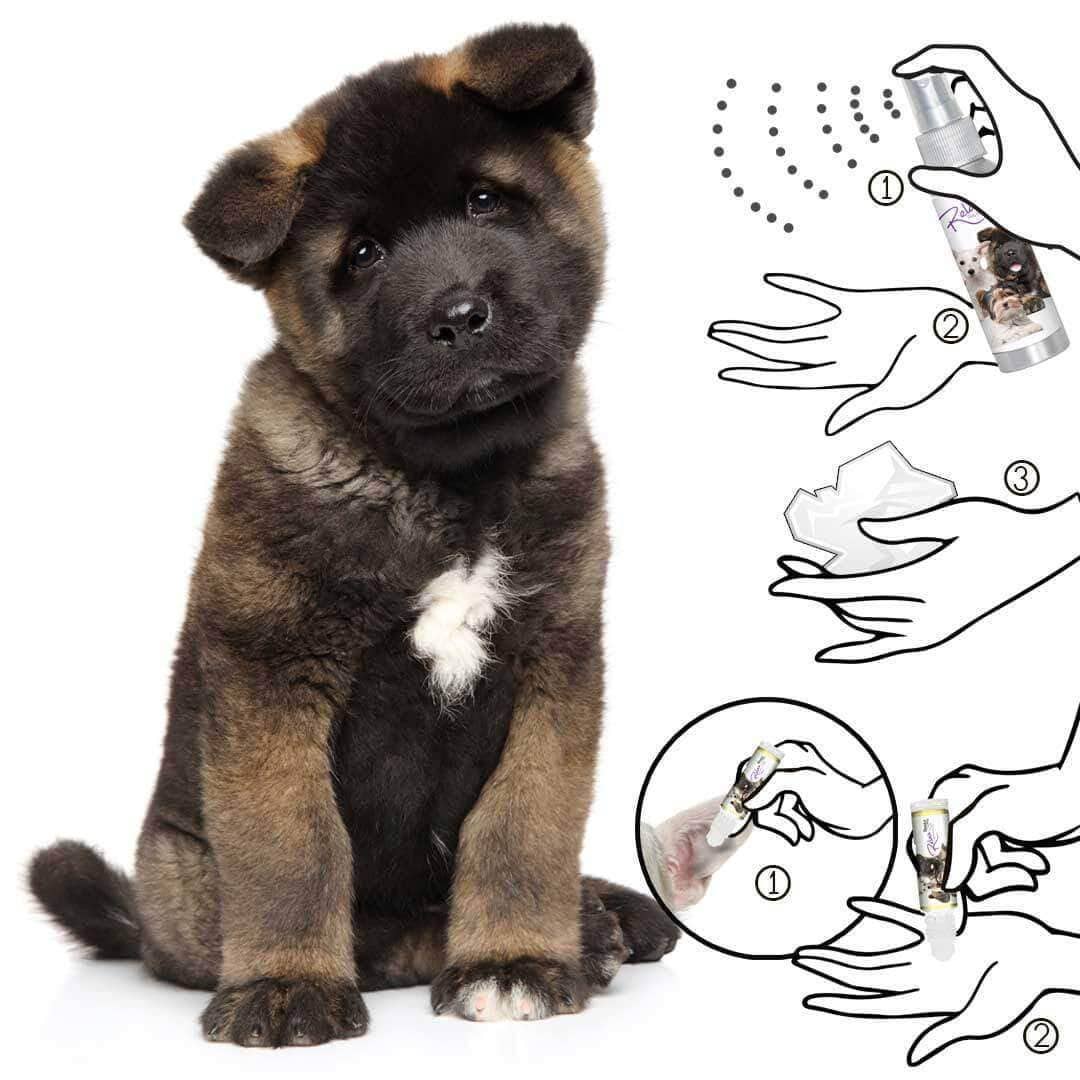 The Blissful Dog - Wholesale Pet Spray - Dog - Relax Dog Aromatherapy Calming Spray & Roll-on9