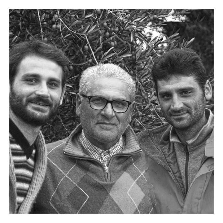 Oliviers & Co - Wholesale Olive Oil - Tenuta Ganga di Lupo Olive Oil3