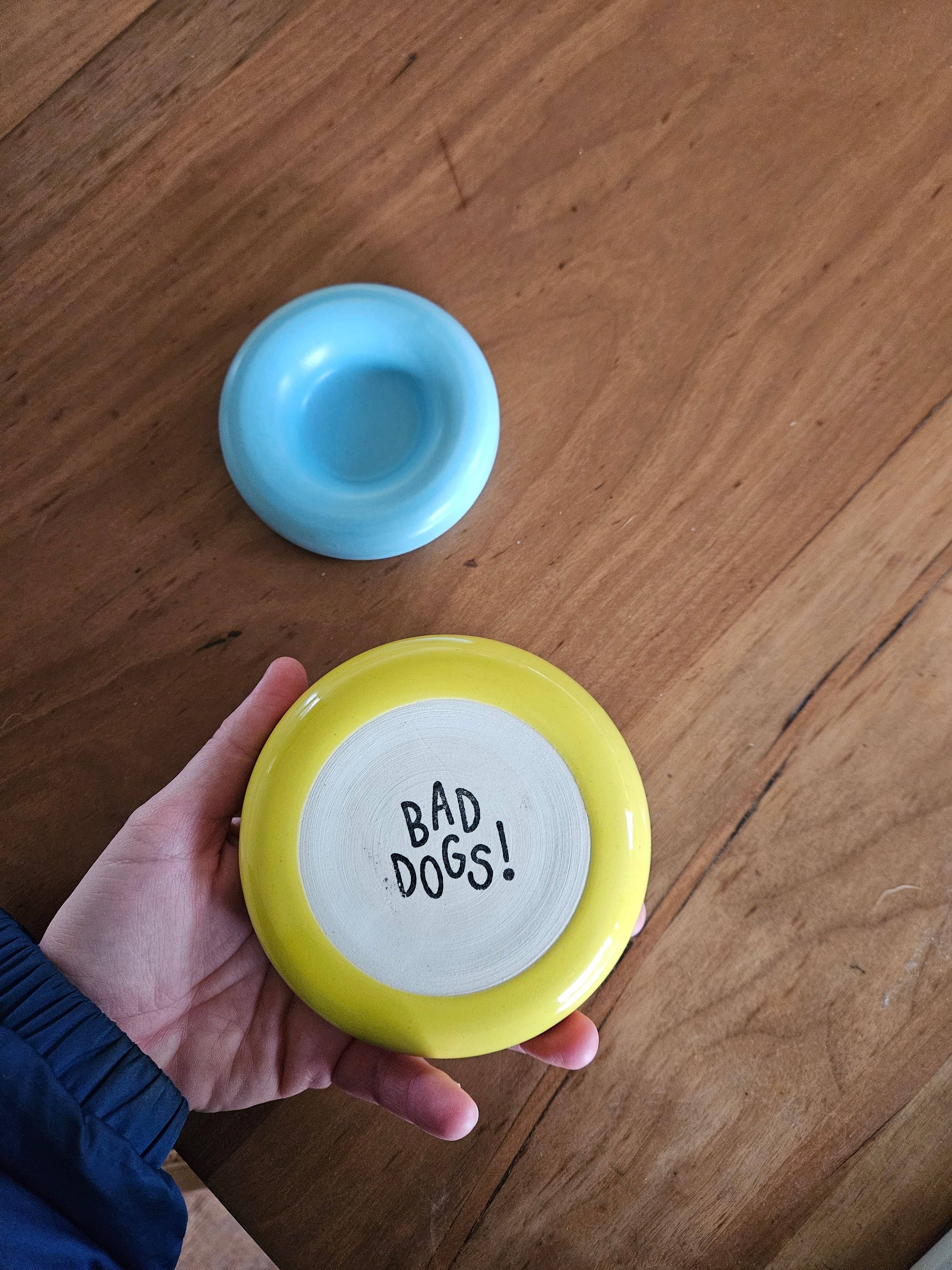 Bad Dogs Studio - Wholesale Jewelry Dish - Donut Dish • Handmade Ceramic Chunky Rounded Bubble Tray10