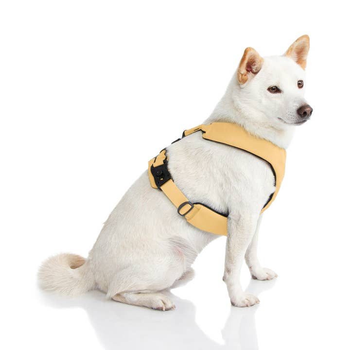 Gooby - Wholesale Pet harness – Dog - #04203 - Lite Gear Z Harness9