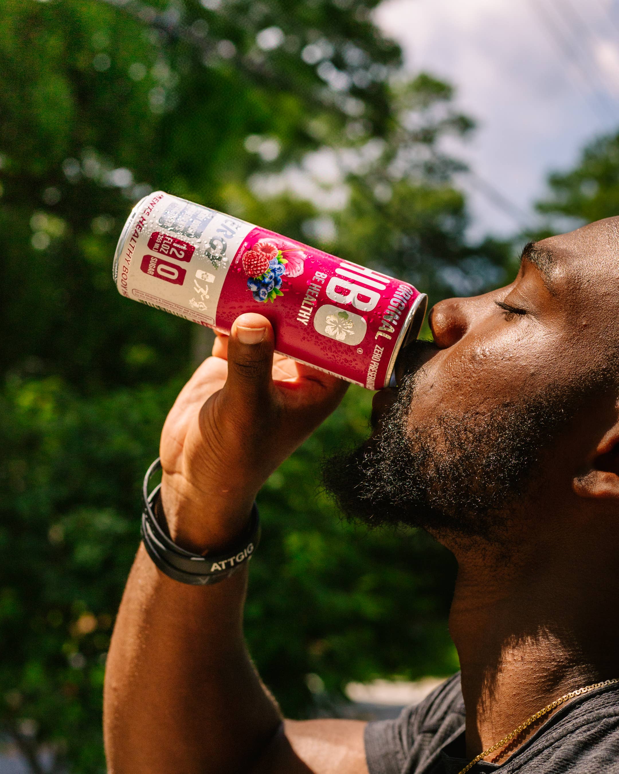 HIBO Healthy Energy - Wholesale Sports/Energy Drink - All-Natural Zero Sugar Energy Drink HIBO ORIGINAL (Berry)5