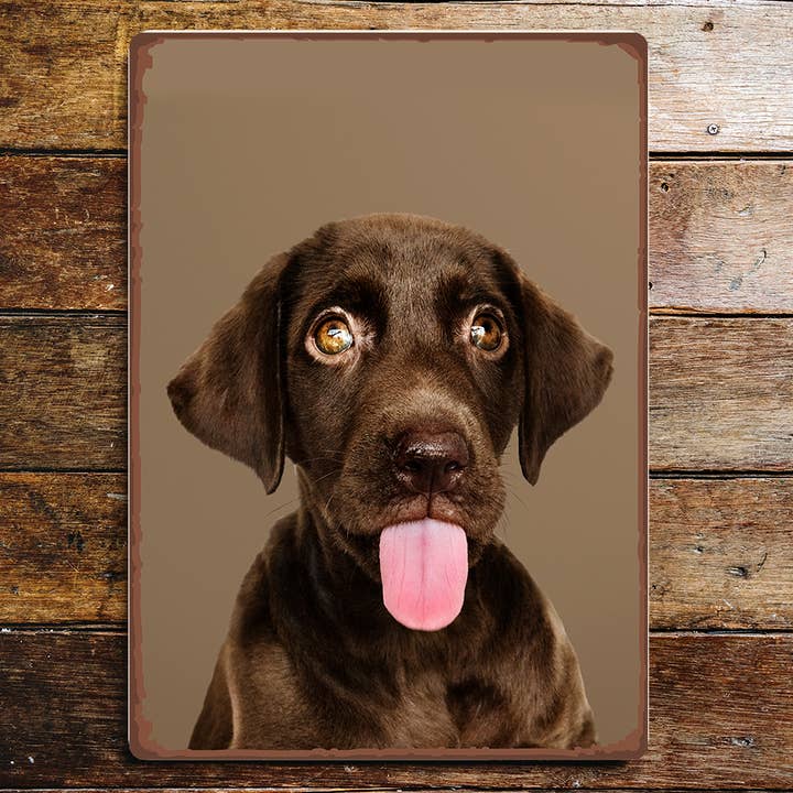 Funny Cute Castanho Labrador Língua Canina Olhos Sinal Metal por atacado de The British Metal Signs Company