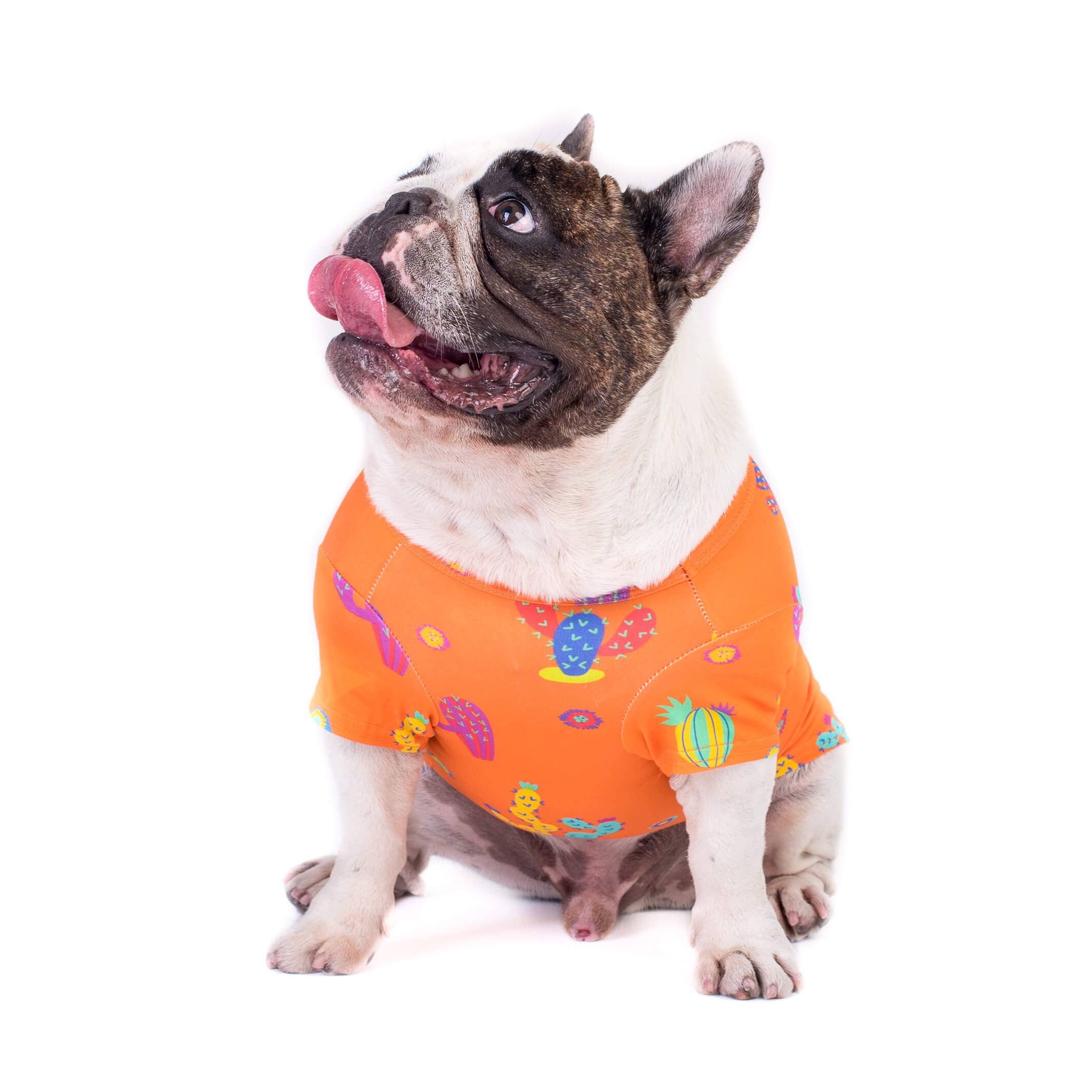 Vibrant Hound - Vente Chemise – chien - Chemise pour chien Lil Prick6