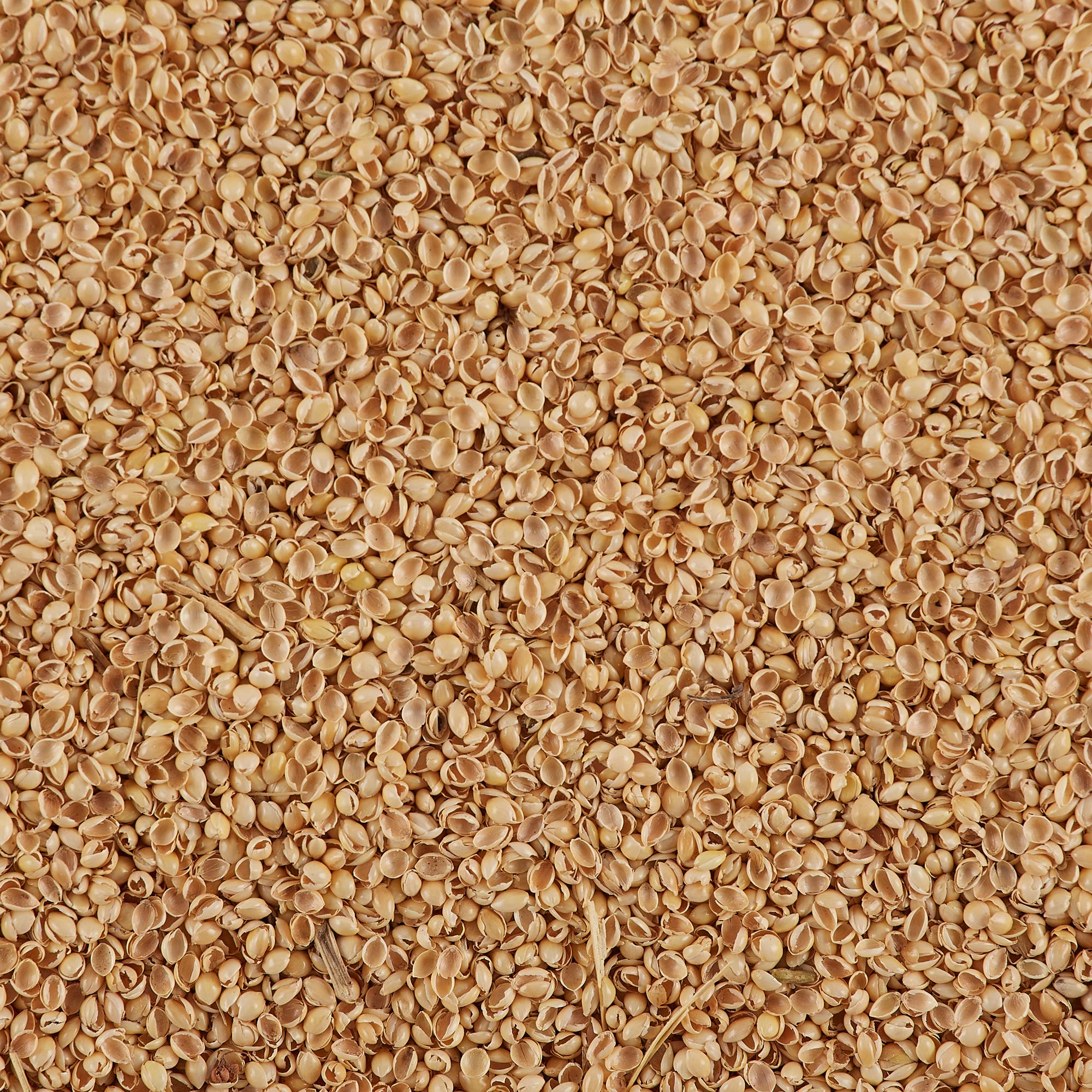 Bucky - Wholesale Breakfast Cereal - 1 lb. Millet Hulls Yellow1