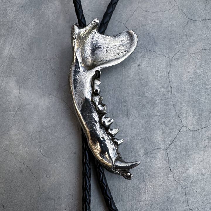Raccoon Jawbone Bolo Krawatte für den Großhandel von HELIOTROPE