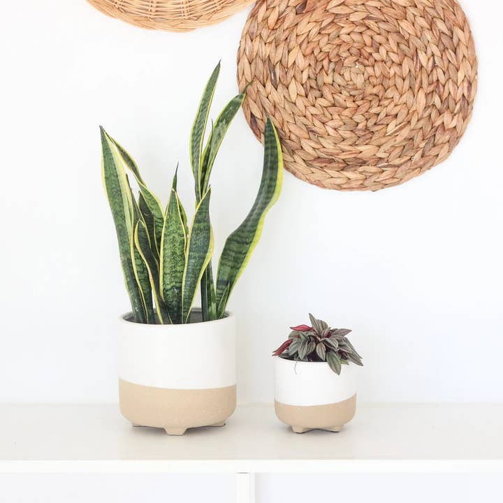 Large Neutral Matte White and Natural Minimal Footed Planter for wholesale by Sprout & About