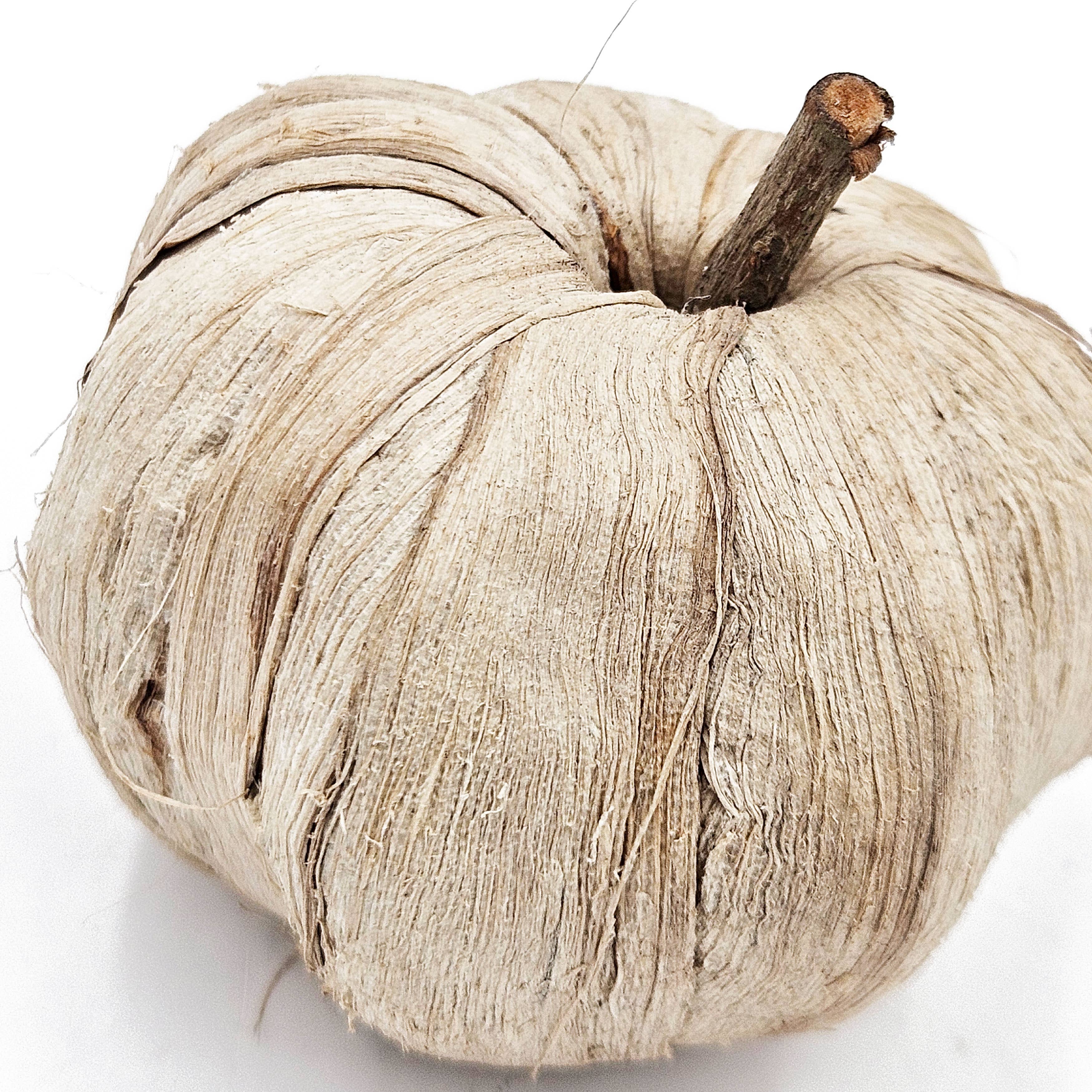 A&B Home Group Inc. - Wholesale Decorative Tabletop Object - 8.5" 10Pcs/Bag Pumpkin Pod Decor 12BAG/CTN3