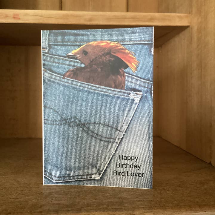 miss leaf - Wholesale Birthday card - Happy Birthday Bird Lover greeting card2