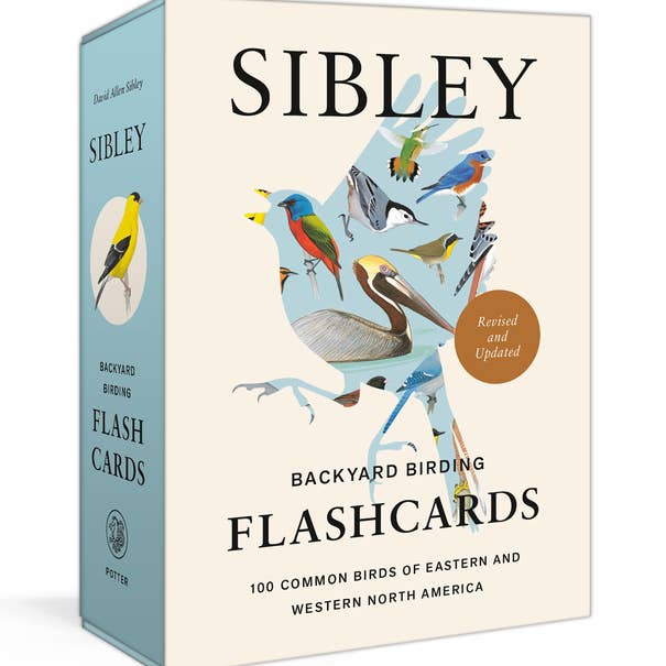 Penguin Random House LLC - Wholesale Learning Cards - Kids & Baby - Sibley Backyard Flashcards