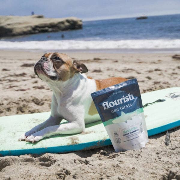 Furvor - Wholesale Pet Treats - Dog - Freeze Dried Raw Minnows - 1oz7