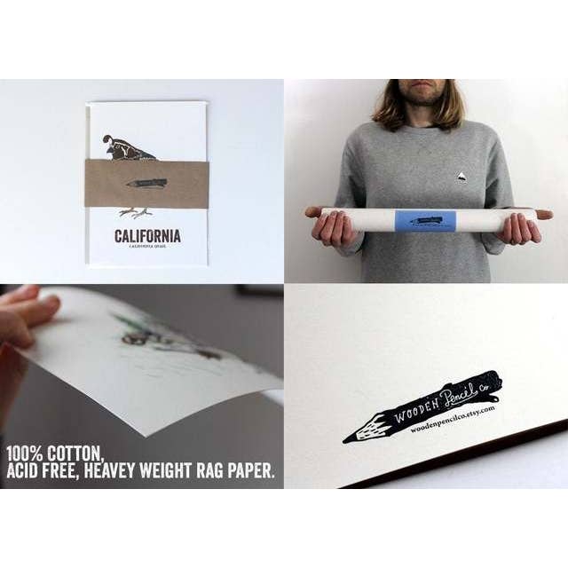 Wooden Pencil Company - Wholesale Art Print - Alaska State Bird, Map prints - Willow Ptarmigan1